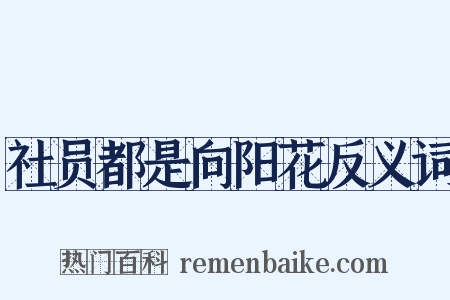 社员都是向阳花反义词是什么意思的图片